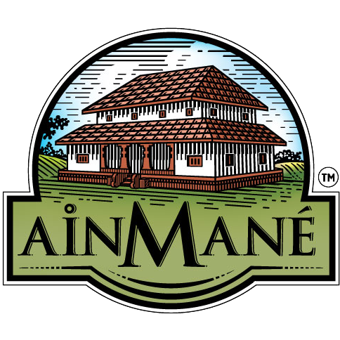 www.ainmane.com